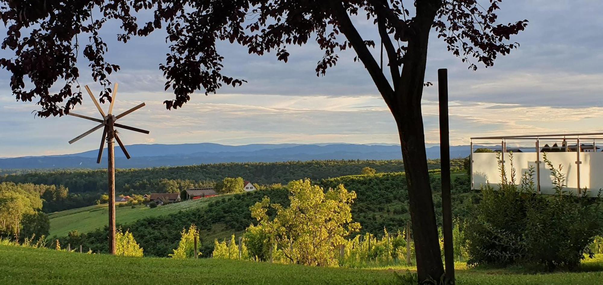Weinhof Reichmann Bed & Breakfast Sankt Peter am Ottersbach Екстериор снимка