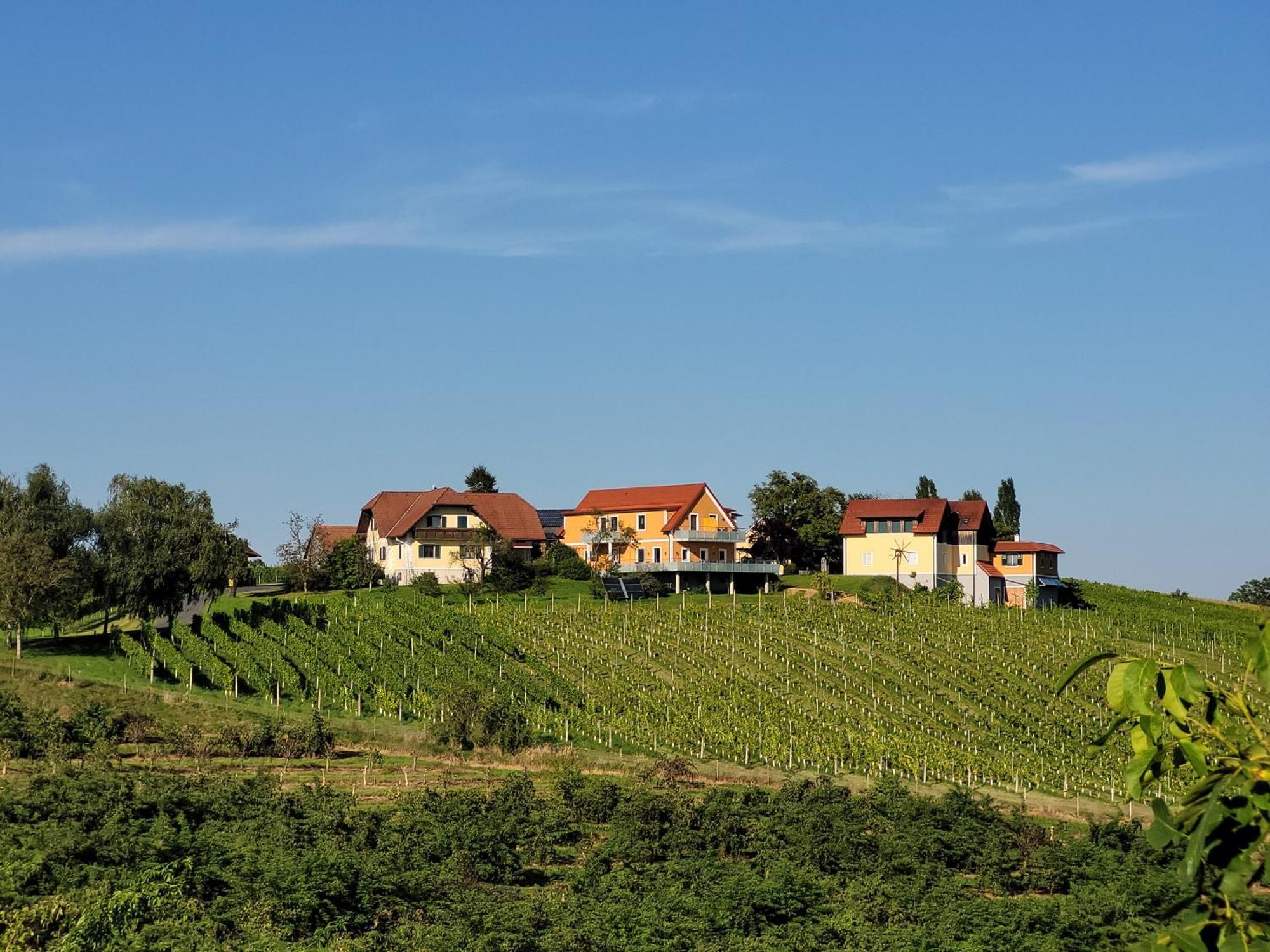 Weinhof Reichmann Bed & Breakfast Sankt Peter am Ottersbach Екстериор снимка