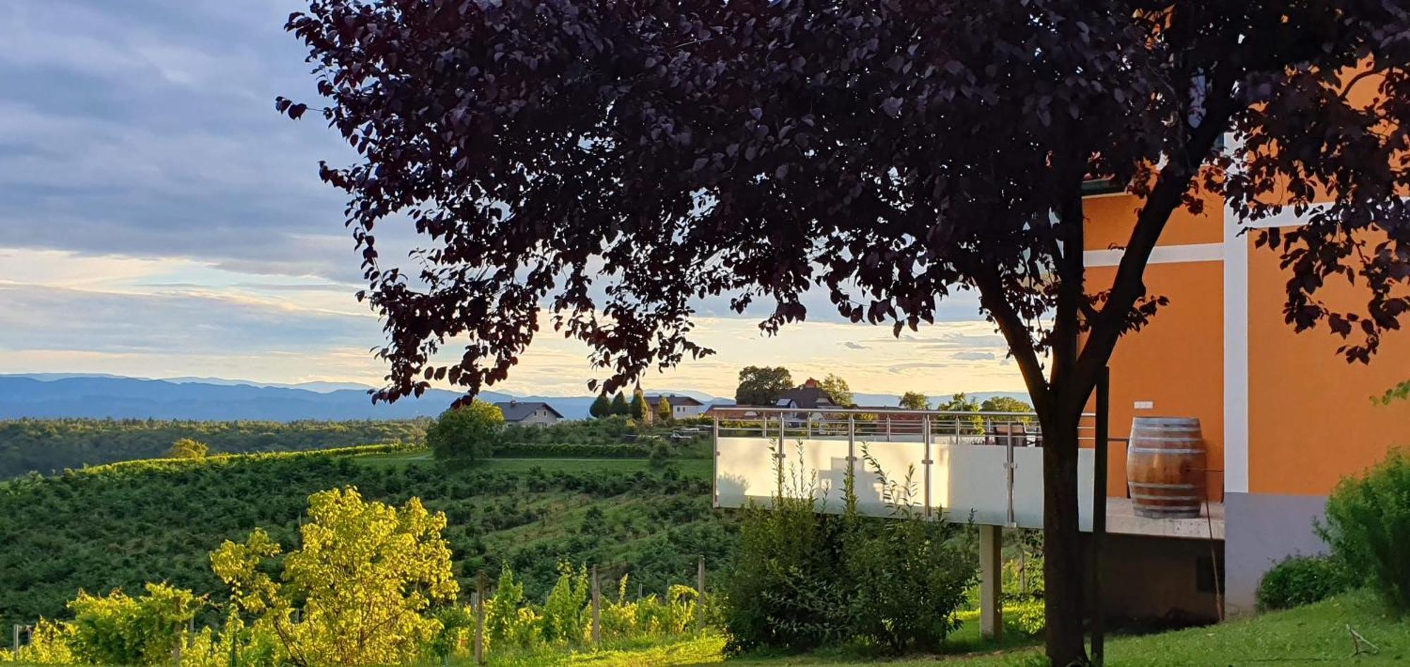 Weinhof Reichmann Bed & Breakfast Sankt Peter am Ottersbach Екстериор снимка