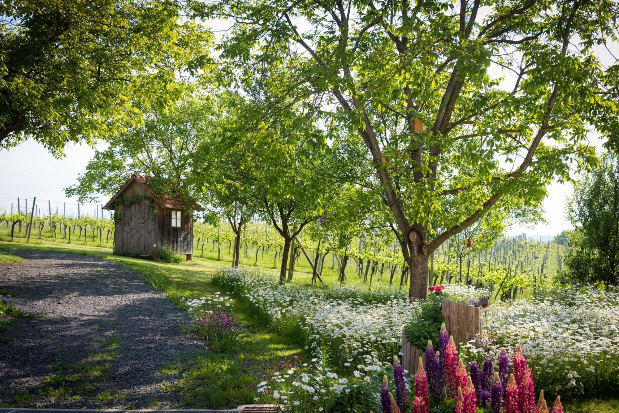 Weinhof Reichmann Bed & Breakfast Sankt Peter am Ottersbach Екстериор снимка